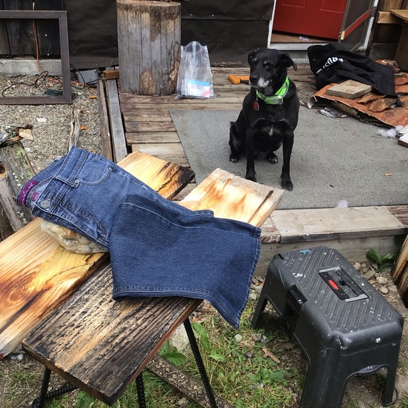 Gloria Vanderbilt denim pants - Picture 12 of 13